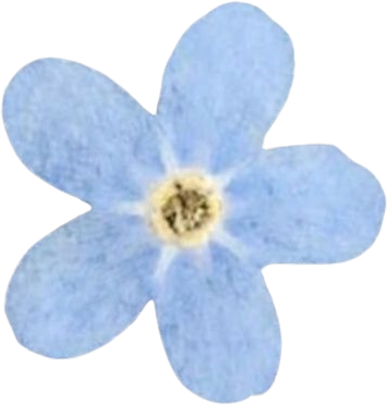 Forget-me-not
