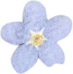 Small Forget-me-not