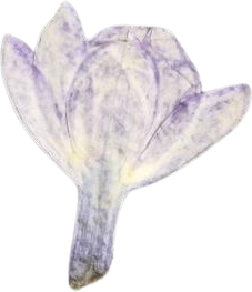 Lilac Bud